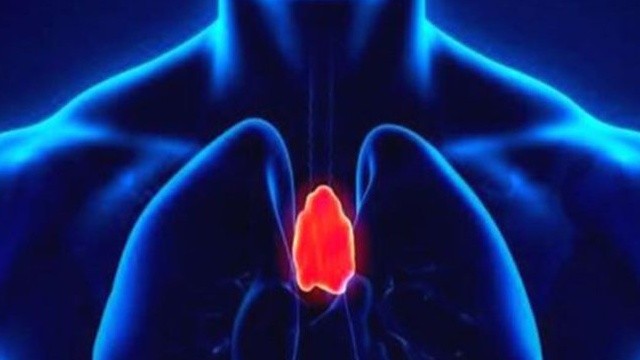 bai-viet/u-xuong-uc-dau-hieu-nhan-biet-cach-chan-doan-va-dieu-tri-u-xuong-uc-pho-bien.html