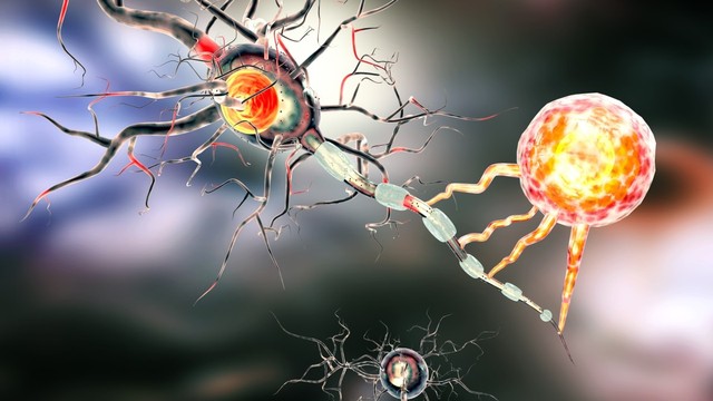 bai-viet/ung-thu-tai-phat-lua-chon-dieu-tri-va-cach-doi-pho-48424.html