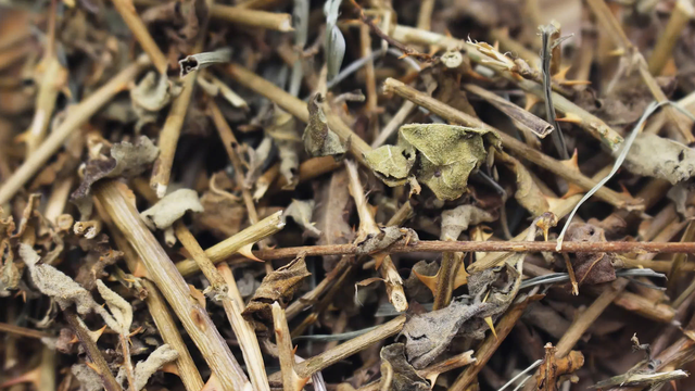 bai-viet/uong-ca-gai-leo-co-dep-da-khong-su-that-ban-nen-biet.html