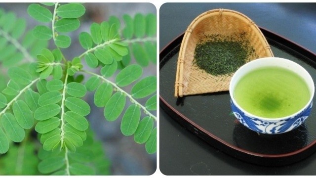 bai-viet/uong-nuoc-la-rang-cua-co-tac-dung-gi.html