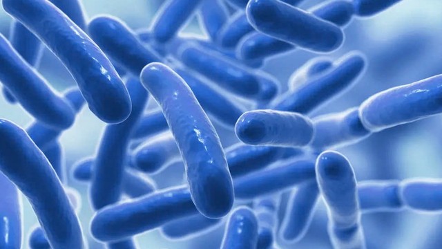 bai-viet/uong-probi-co-tac-dung-gi-voi-phu-nu-nen-su-dung-probi-nhu-the-nao.html