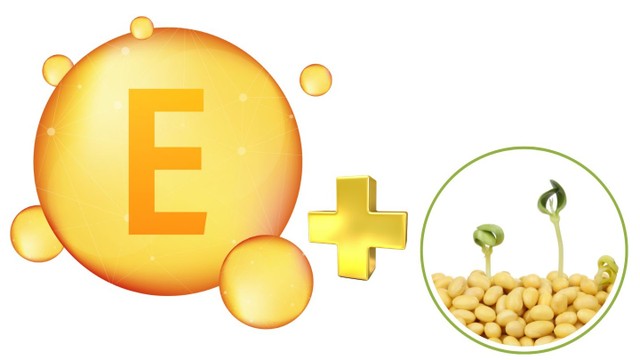 bai-viet/uong-vitamin-e-va-mam-dau-nanh-co-tot-khong.html