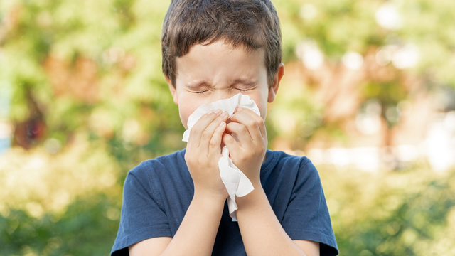 bai-viet/ve-sinh-tai-mui-hong-dung-cach-cho-be-yeu-voi-livespo-navax.html