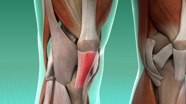 benh/viem-gan-banh-che.html