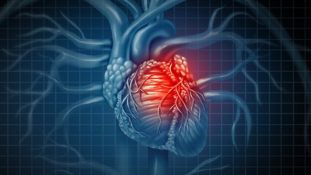 bai-viet/vi-sao-bieu-hien-cua-benh-tim-giai-doan-dau-thuong-kho-phat-hien.html