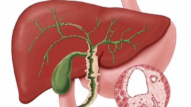 bai-viet/viem-duong-mat-nguyen-nhan-trieu-chung-va-cach-phong-ngua-benh-hieu-qua.html