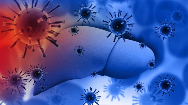 bai-viet/viem-gan-b-va-viem-gan-c-khac-nhau-cho-nao-cach-dieu-tri-va-phong-ngua-benh.html