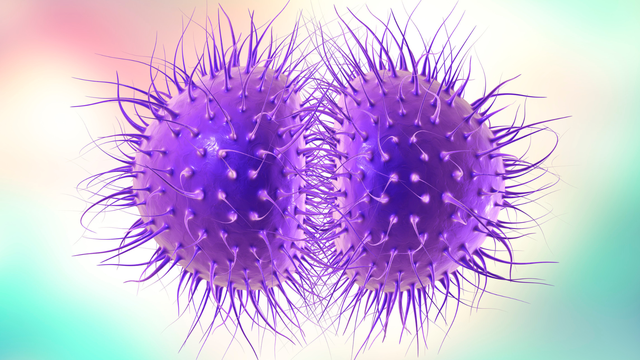 benh/viem-mang-nao-mo-cau-bc.html