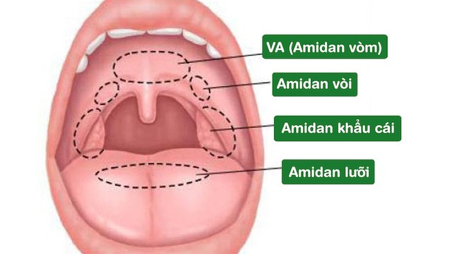 bai-viet/dieu-tri-viem-va-cap-tinh-va-viem-va-man-tinh.html