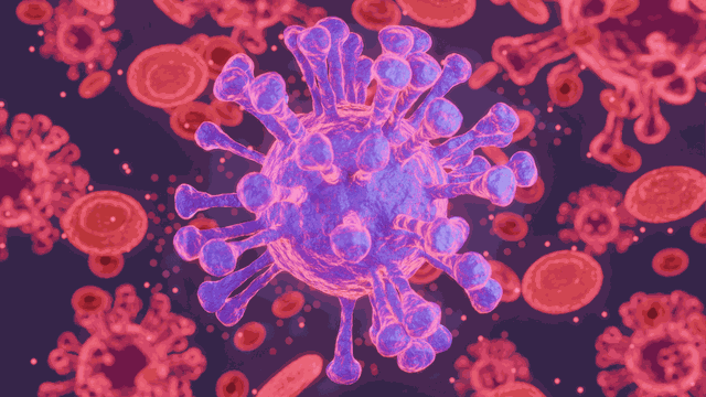 bai-viet/virus-cum-gia-cam-h5-n1-hien-dai-thich-nghi-de-ngan-chan-phan-ung-mien-dich.html