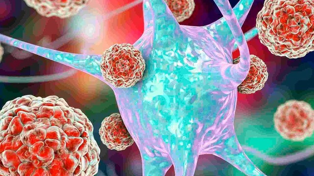 bai-viet/virus-gay-viem-co-tim-la-gi-tinh-trang-viem-co-tim-o-tre-em-lieu-co-nguy-hiem-khong.html