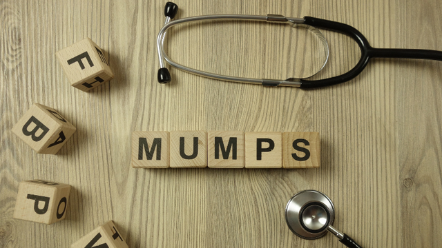 bai-viet/virus-quai-bi-la-gi-nhung-dieu-can-biet-de-bao-ve-suc-khoe.html