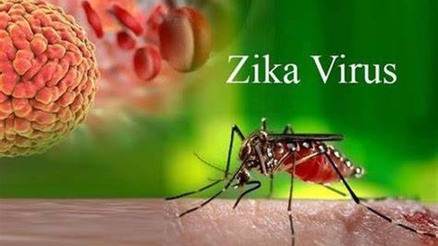 bai-viet/virus-zika-gay-teo-nao-trieu-chung-chan-doan-va-cach-dieu-tri-68573.html