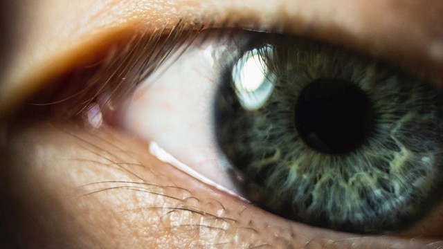 bai-viet/visionace-original-cong-thuc-dinh-duong-duy-tri-doi-mat-khoe-manh.html