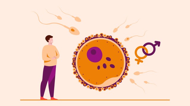 benh/vo-sinh-nguyen-phat.html