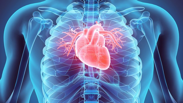 bai-viet/xa-hinh-tuoi-mau-co-tim-la-gi-nhung-luu-y-can-biet-khi-chup-xa-hinh-tuoi-mau-co-tim.html