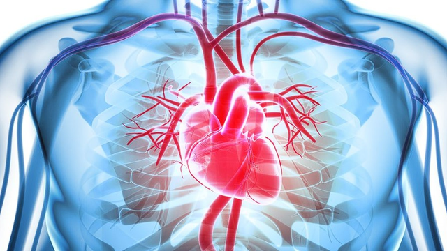 bai-viet/xay-dung-thuc-don-cho-nguoi-suy-tim-va-nguyen-tac-trong-thuc-don.html