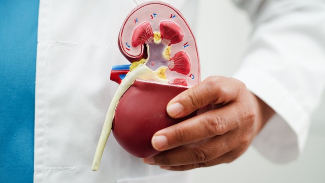 bai-viet/xet-nghiem-do-loc-cau-than-la-gi-nhung-thong-tin-can-biet.html