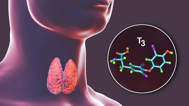 bai-viet/khi-nao-can-thuc-hien-xet-nghiem-hormon-tuyen-giap.html