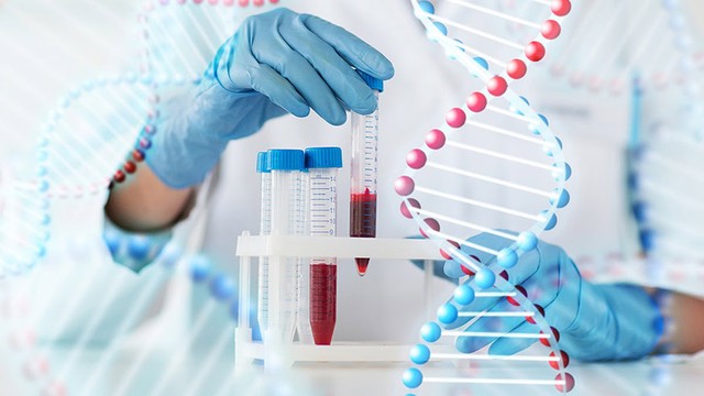 bai-viet/xet-nghiem-noi-tiet-to-nam-la-gi-gia-bao-nhieu.html