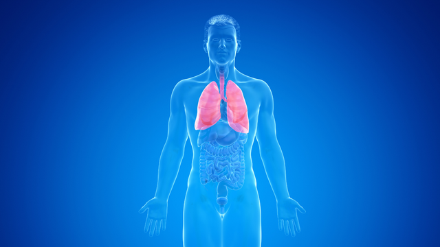 benh/xo-phoi-188.html