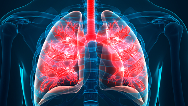 bai-viet/xo-phoi-la-benh-gi-xo-phoi-co-lay-khong-60479.html