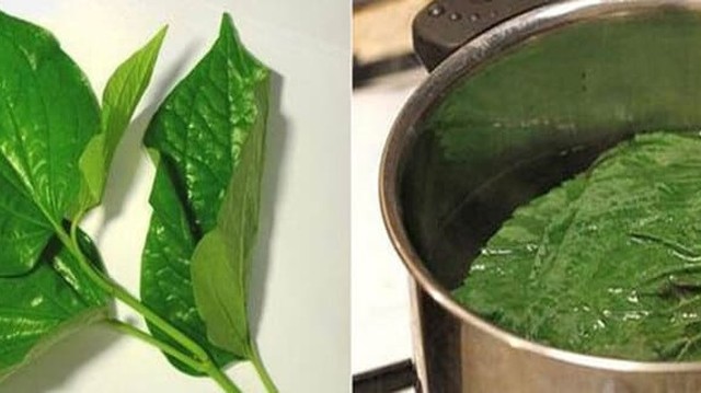 bai-viet/tac-dung-cua-viec-xong-hoi-bang-la-lot-va-cach-xong-hoi-bang-la-lot-don-gian-tai-nha.html