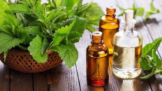 bai-viet/xong-tinh-dau-giam-ho-va-nhung-dieu-can-luu-y-71521.html