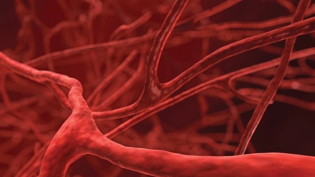 bai-viet/xuat-huyet-noi-la-gi-trieu-chung-canh-bao-xuat-huyet-noi.html