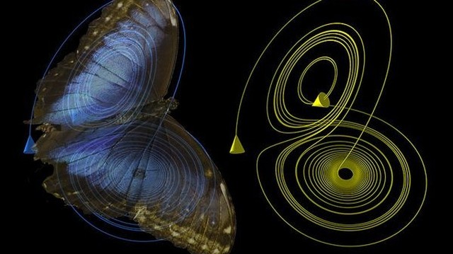 bai-viet/y-nghia-va-tac-dong-cua-hieu-ung-canh-buom-den-con-nguoi-63828.html