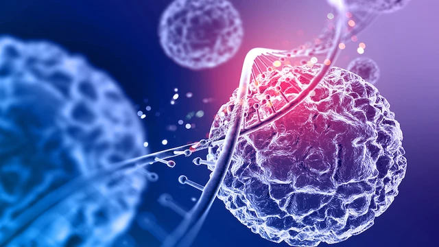 bai-viet/10-benh-ung-thu-thuong-gap-o-viet-nam-co-the-ban-chua-biet.html