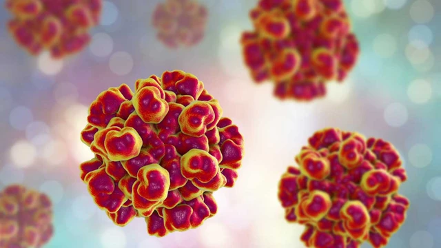 benh/viem-gan-e.html