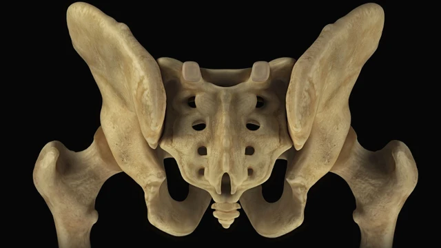 bai-viet/xuong-cut-co-vai-tro-gi-nhung-dieu-can-luu-y.html