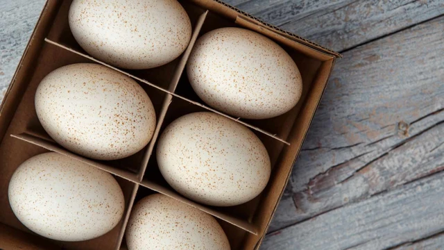 bai-viet/1-qua-trung-ga-bao-nhieu-calo-cach-an-trung-de-han-che-tang-can.html