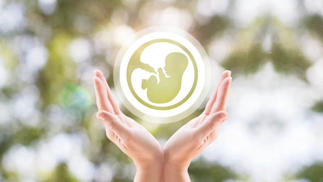 bai-viet/1-trung-tao-duoc-bao-nhieu-phoi-nhung-yeu-to-tac-dong-den-so-luong-phoi-trong-ivf.html