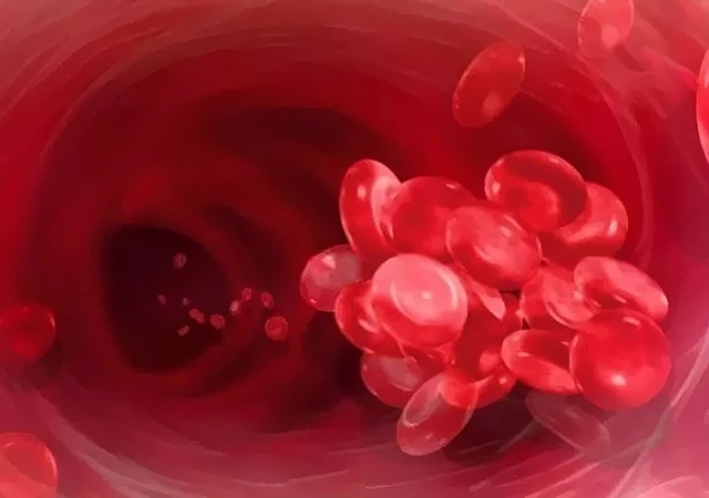 benh/dong-mau-noi-mach-rai-rac-264.html