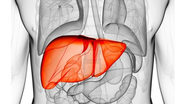 bai-viet/3-cach-don-gian-giup-mat-gan-giai-doc-co-the-66974.html