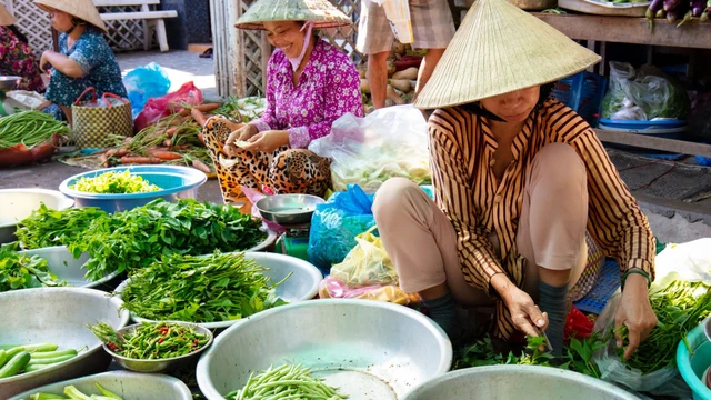 bai-viet/3-loai-rau-thanh-loc-duong-ruot-ban-day-cho-viet-che-bien-thanh-nhieu-mon-ngon.html