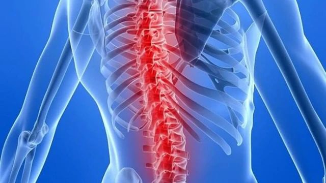 bai-viet/4-loai-thuc-pham-giau-canxi-giup-xuong-chac-khoe-tu-tuoi-40.html