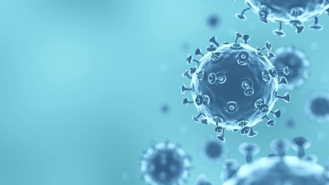 bai-viet/5-dau-hieu-can-luu-y-khi-mac-covid-19-do-bien-the-xbb-1-16-gay-ra.html