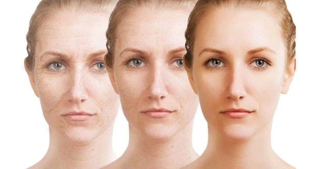 bai-viet/5-dieu-khong-ai-noi-voi-ban-ve-su-lao-hoa-53407.html