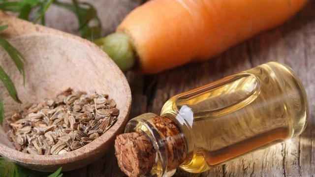 bai-viet/5-san-pham-nguon-goc-tu-thuc-vat-bao-ve-lan-da-duoi-cai-nang-mua-he.html