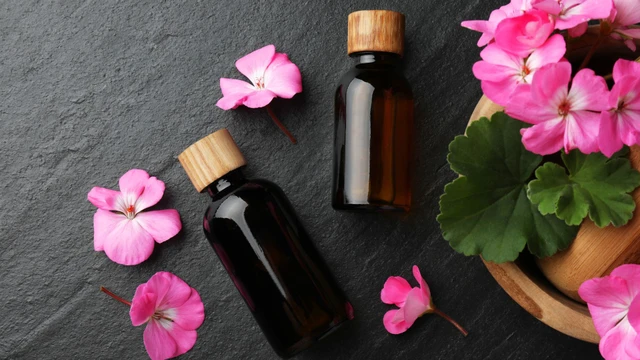 bai-viet/6-loi-ich-cua-tinh-dau-phong-lu-doi-voi-lan-da.html