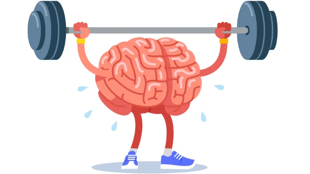 bai-viet/6-thoi-quen-cai-thien-tri-nho-cho-nao-bo-55328.html