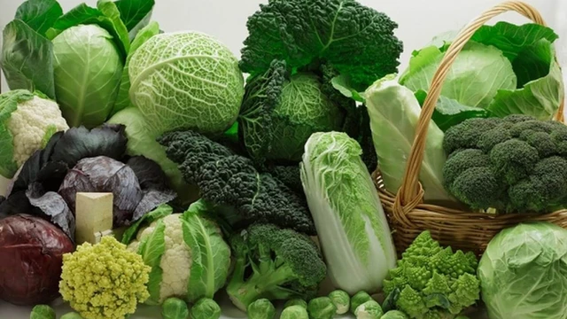 bai-viet/7-loai-rau-giup-thuc-day-san-xuat-collagen-ngan-ngua-lao-hoa.html