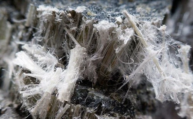 benh/bui-phoi-atbet-amiang-83.html