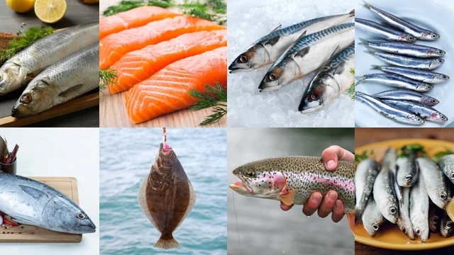 bai-viet/8-loai-ca-co-ham-luong-omega-3-cao-nhat-nen-bo-sung.html