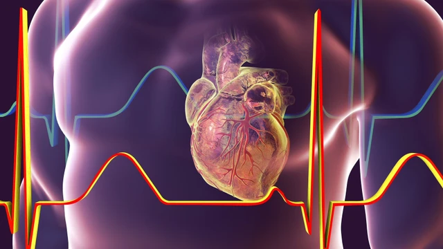 bai-viet/benh-nhan-suy-tim-do-2-song-duoc-bao-lau-phuong-phap-giup-giam-tien-trien-benh.html