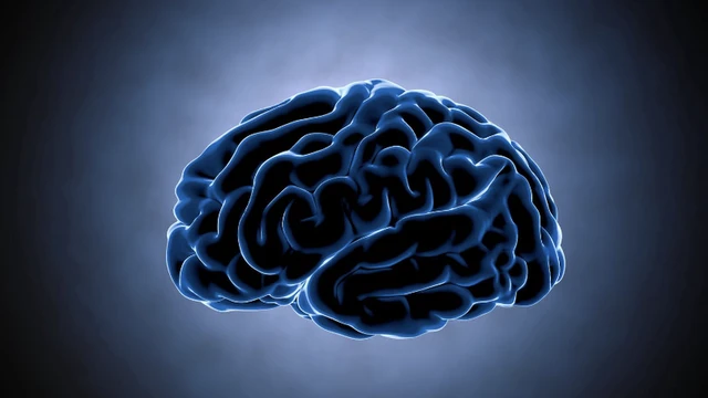 bai-viet/dnt-la-gi-cac-benh-ly-lien-quan-den-dnt.html