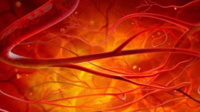 bai-viet/do-do-cung-dong-mach-la-gi-gia-tri-va-phuong-phap-do-do-cung-dong-mach.html